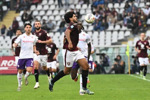 Torino vs Fiorentina - 03.11.2024